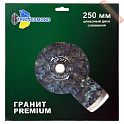 Диск алмазный по натуральному камню 250х25,4/22,23 мм TRIO DIAMOND Гранит Premium GP377